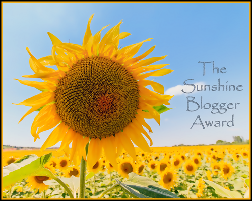 sunshine_blogger_award_web